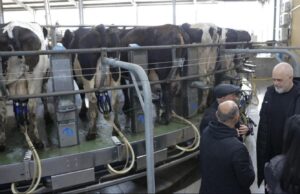 Rama në Divjakë: Me futjen në BE marrim 300 milionë euro në vit për bujqësinë