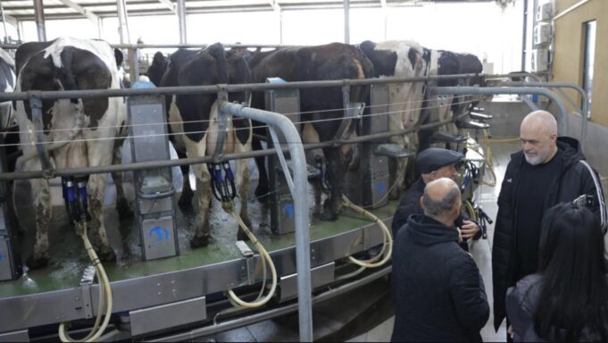 Rama në Divjakë: Me futjen në BE marrim 300 milionë euro në vit për bujqësinë