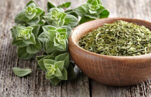 Përfitimet shëndetësore të rigonit