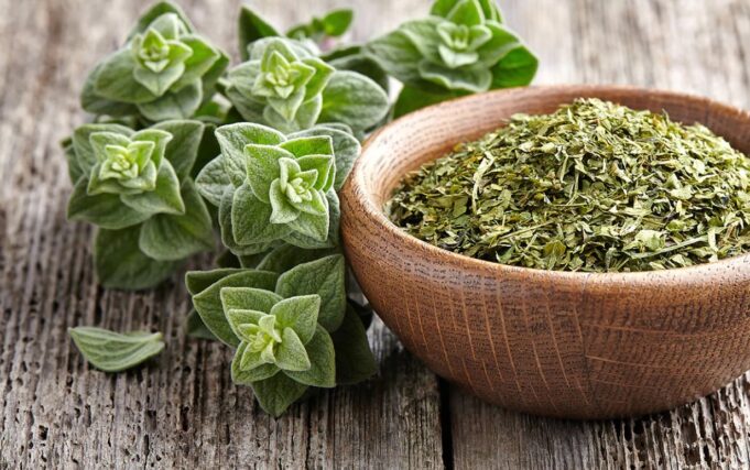 Përfitimet shëndetësore të rigonit