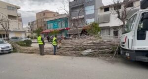 Moti i keq dhe era e fortë shkaktojnë probleme në Vlorë, rrëzohen pemë dhe shtylla elektrike