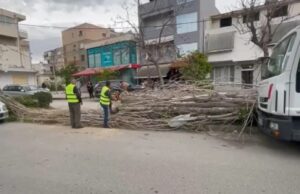 Moti i keq dhe era e fortë shkaktojnë probleme në Vlorë, rrëzohen pemë dhe shtylla elektrike