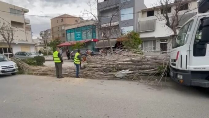 Moti i keq dhe era e fortë shkaktojnë probleme në Vlorë, rrëzohen pemë dhe shtylla elektrike
