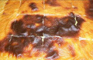 Qumështor i ëmbël pa petë – Si ta përgatisni në shtëpi