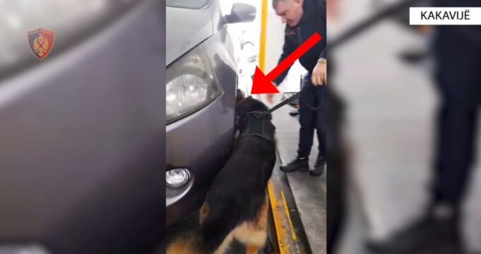 Kakavijë: Sekuestrohen 63 kg drogë, në pranga shoferi dhe pasagjerja