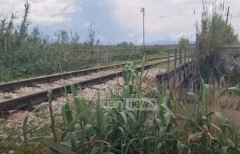 Aksident në Levan, treni i mallrave godet një 68-vjeçar