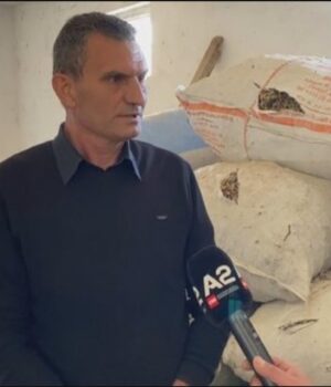 Tarifa e SHBA prej 10%, eksportuesit e bimëve medicinale: Na çon në falimentim