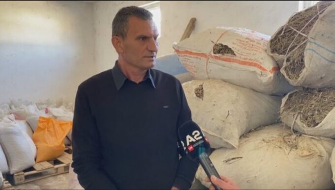 Tarifa e SHBA prej 10%, eksportuesit e bimëve medicinale: Na çon në falimentim