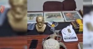 Trafikuan vepra arti, Prokuroria e Fierit çon për gjykim dy persona, sekuestrohen armë të shekullit të XVIII-XIX