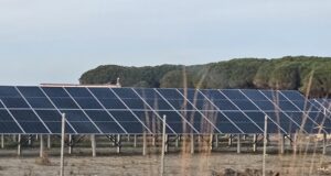 Fieri epiqendra e energjisë diellore: 9 nga 10 centralet e rinj të licencuar në 2025 vendosen në këtë qark