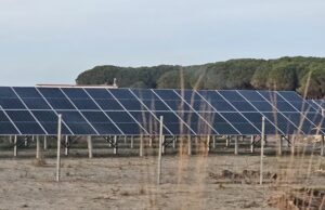 Fieri epiqendra e energjisë diellore: 9 nga 10 centralet e rinj të licencuar në 2025 vendosen në këtë qark