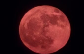 Sonte “Hëna Luleshtrydhe”, dilni shiheni me sytë tuaj