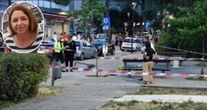 Tragjike në Itali, vritet me thikë në mes të parkut 45-vjeçarja shqiptare