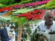 Historia e xha Thanasit, agronomi që nuk i ndahet luleve as në pleqëri: Më shtojnë jetën! (Video)