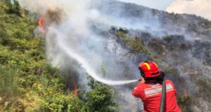 Instituti i Gjeoshkencave: Temperaturat e larta, qarku i Fierit i rrezikuar nga zjarret