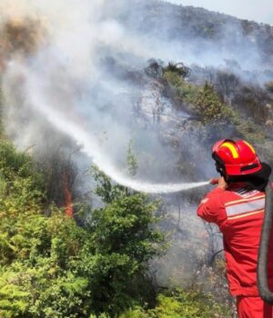 Instituti i Gjeoshkencave: Temperaturat e larta, qarku i Fierit i rrezikuar nga zjarret