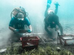 Stunning discovery: The albanian village hiding europe’s oldest underwater settlement