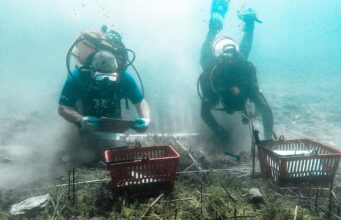 Zbulimi i rrallë në Lin: Vendbanimi 8000-vjeçar me palafite më i vjetri në Europë! FOTOT që të lënë pa fjalë