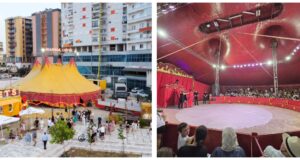 Cirku i famshëm “Marina Orfei” nisi shfaqjet në Fier, tigrat dhe lojrat e bukura ju presin