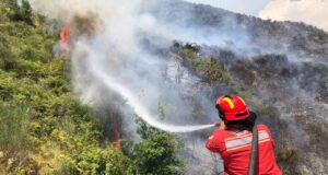 Situata e zjarreve në vend, Ministria e Mbrojtjes: Gjatë 24 orëve të fundit janë raportuar 29 vatra