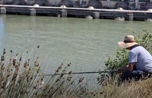 Darëzeza, oaz qetësie për peshkatarët amatorë: Kam 10 vite që gjuaj, kam zënë edhe 20 kilogramë peshk (Video)