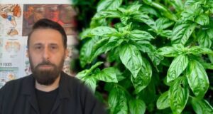 Nuk do ta besosh çfarë i bën trupit BORZILOKU, Altin Joka: Ja si ta përdorësh për shërim