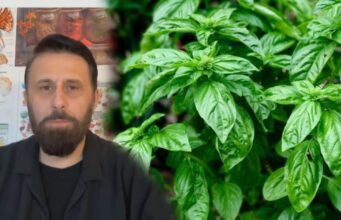 Nuk do ta besosh çfarë i bën trupit BORZILOKU, Altin Joka: Ja si ta përdorësh për shërim