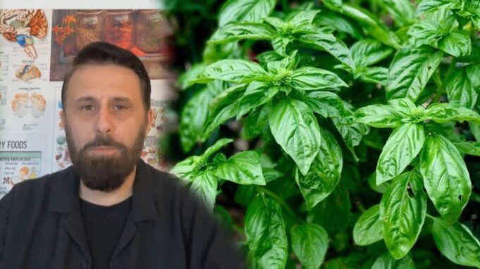 Nuk do ta besosh çfarë i bën trupit BORZILOKU, Altin Joka: Ja si ta përdorësh për shërim