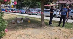 Loja e dominos për pak sa nuk kthehet në tragjedi, të moshuarit përplasen me thika, njëri dërgohet në spital