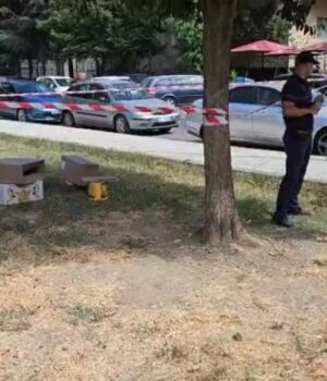 Loja e dominos për pak sa nuk kthehet në tragjedi, të moshuarit përplasen me thika, njëri dërgohet në spital