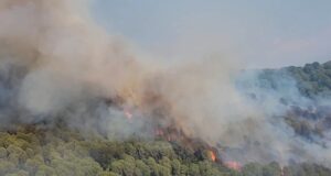 Riaktivizohen flakët në masivin pyjor të Drenovës, zjarrfikësit ndërhyjnë me mjete rrethanore për shkak të terrenit të thyer