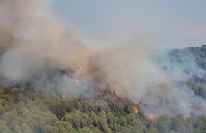 Riaktivizohen flakët në masivin pyjor të Drenovës, zjarrfikësit ndërhyjnë me mjete rrethanore për shkak të terrenit të thyer