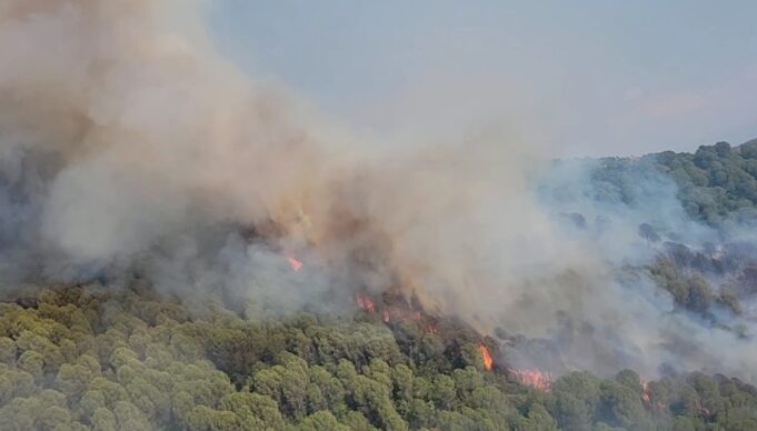 Riaktivizohen flakët në masivin pyjor të Drenovës, zjarrfikësit ndërhyjnë me mjete rrethanore për shkak të terrenit të thyer