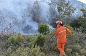 11 vatra aktive zjarri në vend, 345 forca ushtarake në terren