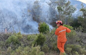 11 vatra aktive zjarri në vend, 345 forca ushtarake në terren