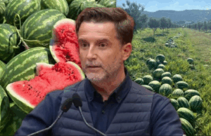 Çmimi i shalqirit bie në 6 lekë për kg në Divjakë, Braçe apel qytetarëve dhe biznesmenëve: Blijeni, të shpëtojmë bujqit