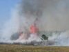 Përfshihen nga flakët toka bujqësore dhe kallamishtet në Fier