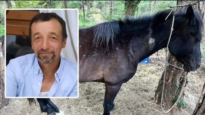 Shëmtia që vret bukurinë / Ja kush është vrasësi i kuajve në Llogara, Selfo Merkohitoj