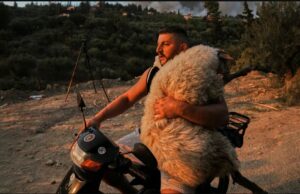 U fotografua me delen në krahë, emigranti shqiptar kthehet në hero në Greqi