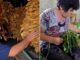 “Habiten si i bëjmë burrë e grua 2 tonë e gjysmë!” Kultivuesi i duhanit në Kurjan: Të kemi markën tonë të cigareve si dikur (Video)