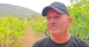 Rrushi në Roskovec shitet me 25 lekë/kg, fermerët ankohen: Duhen politika për promovimin e produkteve lokale (Video)