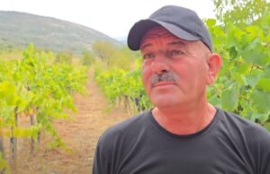 Rrushi në Roskovec shitet me 25 lekë/kg, fermerët ankohen: Duhen politika për promovimin e produkteve lokale (Video)