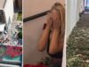 10 mijë trëndafilë për ditëlindjen e Luanës: gjest romantik apo luks i tepruar?