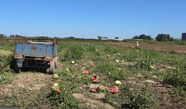 Screenshot 2025-09-16 185746