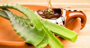 Fuqitë Shëruese të Mjaltit dhe Aloe Verës