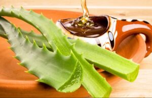 Fuqitë Shëruese të Mjaltit dhe Aloe Verës