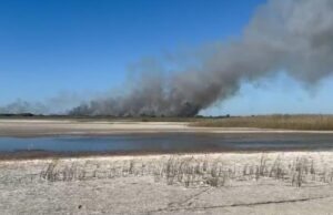 Zjarr në Seman, rrezikohet habitati i specieve të egra (Video)