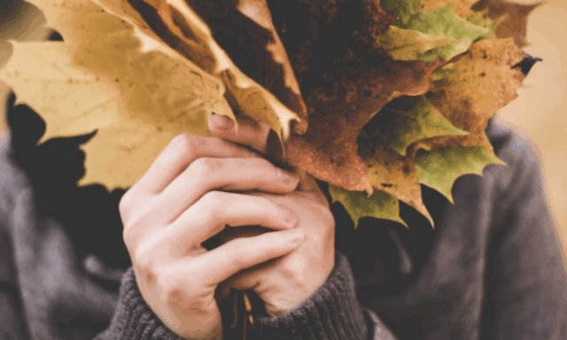 Screenshot 2025-09-23 122329