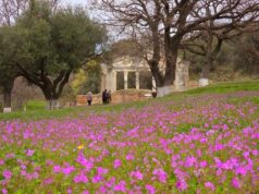 Apollonia of Illyria – The Forgotten City Where Time Stopped