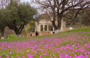 Apollonia of Illyria – The Forgotten City Where Time Stopped